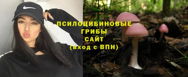 прущие грибы Белоозёрский