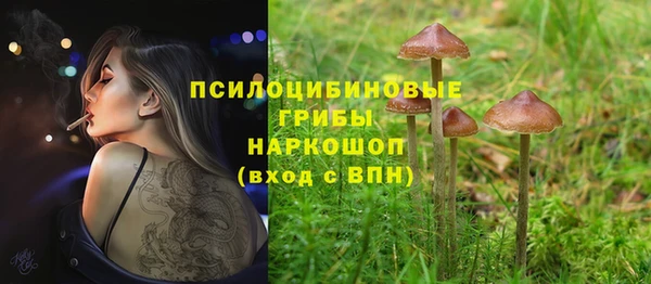 прущие грибы Белоозёрский