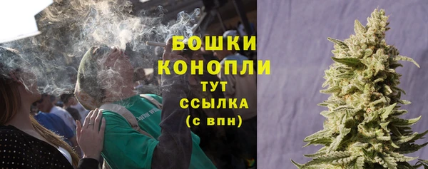 прущие грибы Белоозёрский