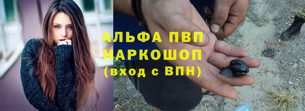 прущие грибы Белоозёрский